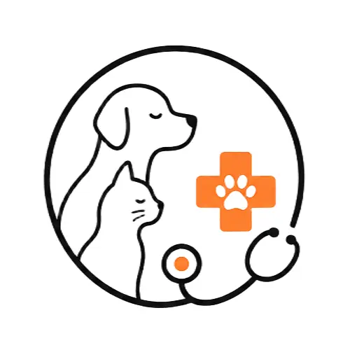 Médecine